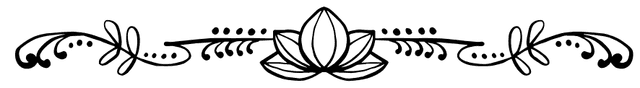 divider